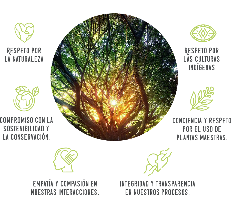Imagen de Img Vision Valores