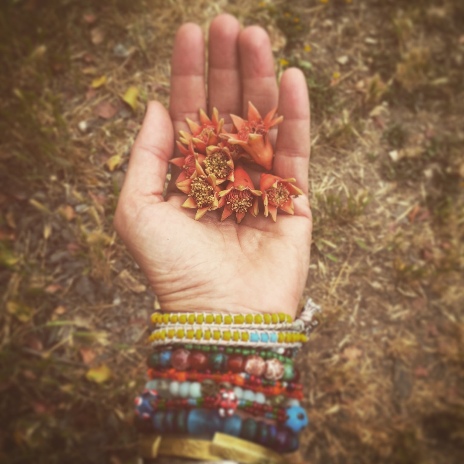 Ethnotherapy seminar in Swiss from August 22 to 24