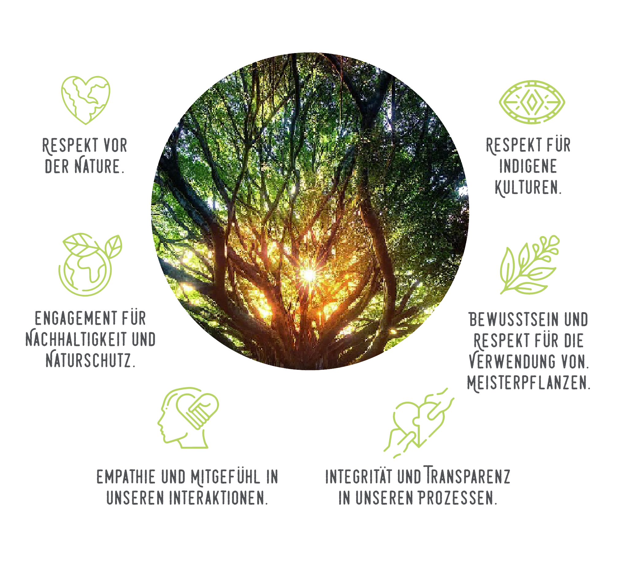 Imagen de Valores Versión Aleman