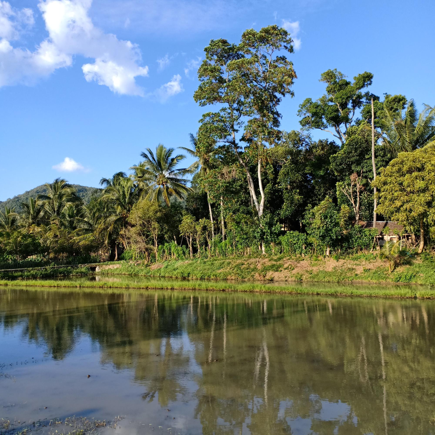 Expedition in den kolumbianischen Amazonas 30. Januar – 9. Februar 2027