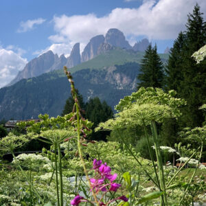 Imagen de Swiss Seminar